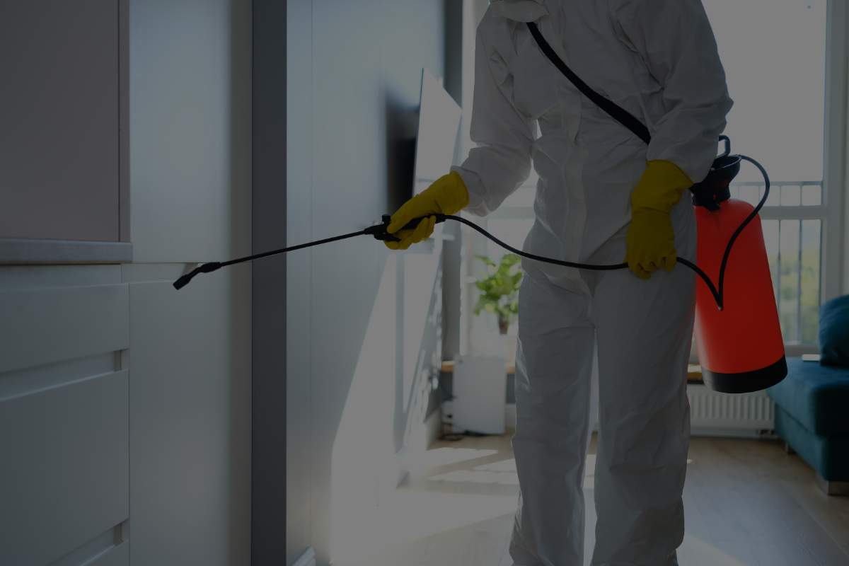 Mold Removal services in Miami