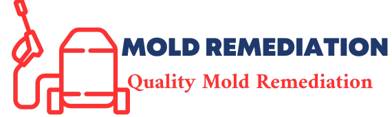 Mold Removal Miami