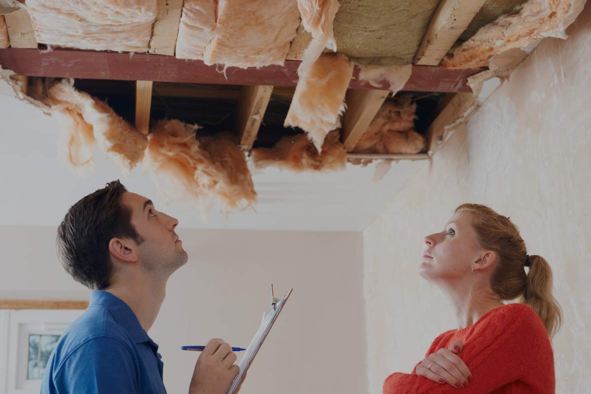 Eco-Friendly Mold Removal Solutions for a Healthier Home